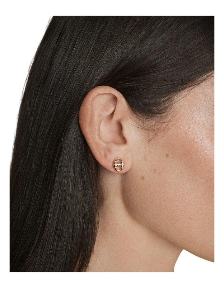 Marina Stud Earrings Ear in Gold image 4
