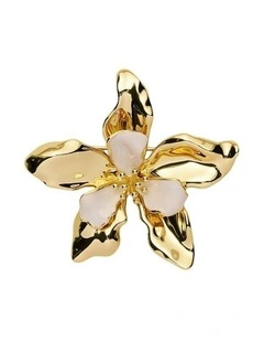 Oleander Brooch Neck  in Off White