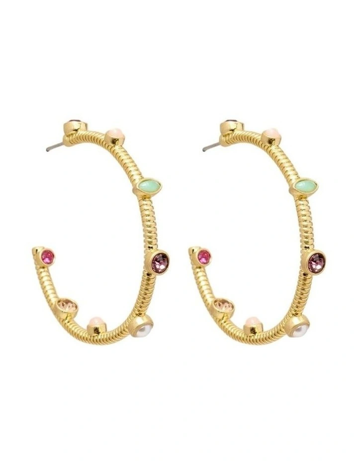 Refina Large Hoop Earrings Ear  in Multicolour image 1