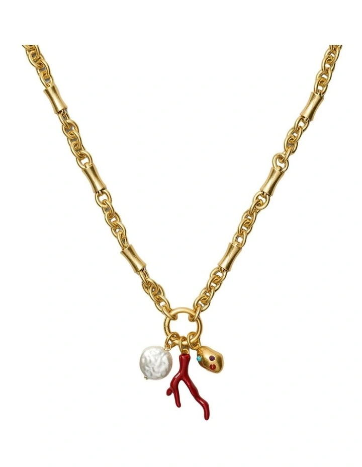 Cladiella Charm Necklace Neck in Gold image 1