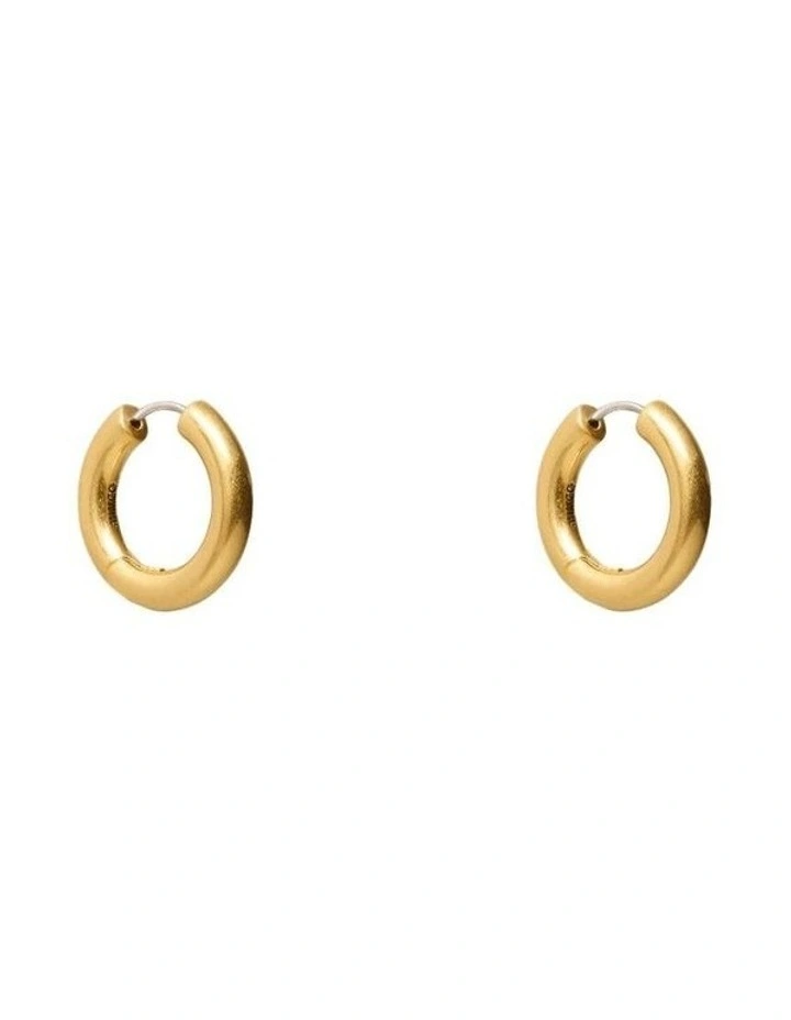 Cladiella Charm Hoop Earrings Ear in Multicolour image 5