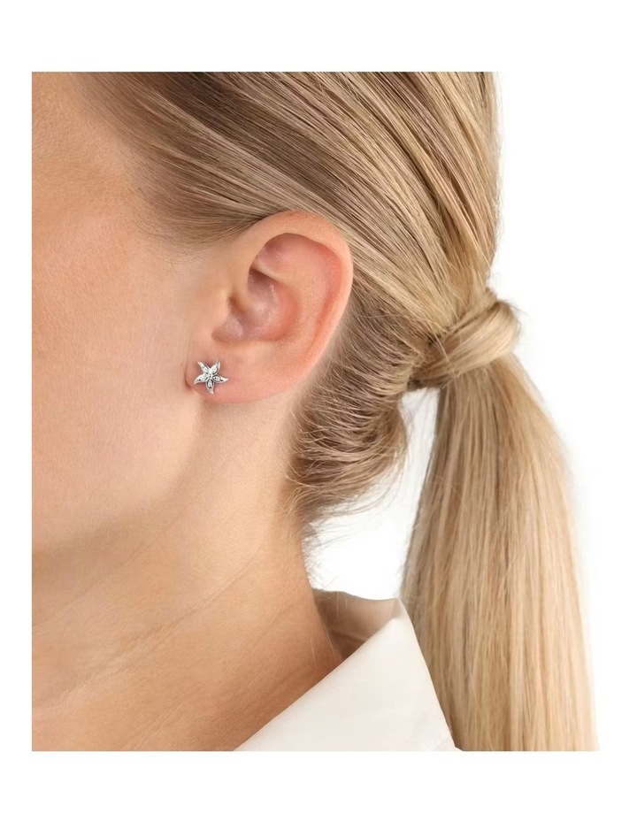 Starfish Stud Silver 925 image 2