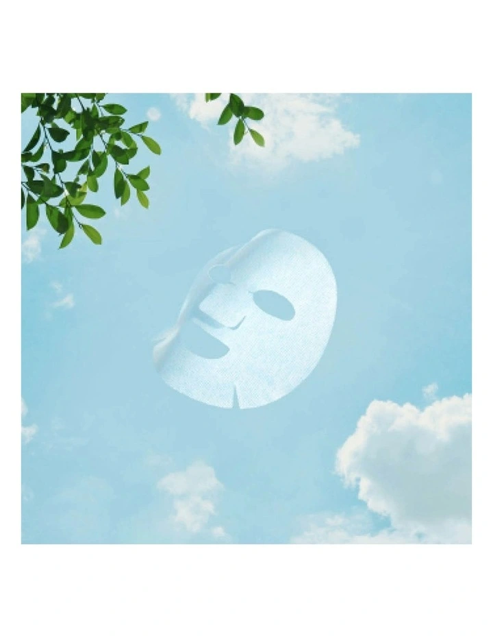 My Orchard Squeeze Mask Mango Bundle 10 Pieces image 6