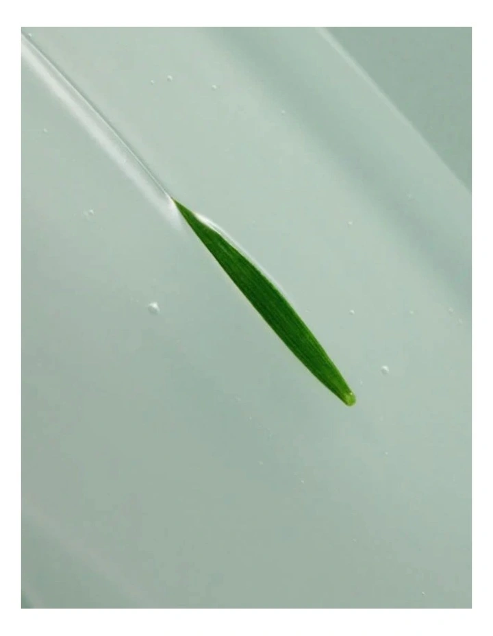 Aha Bha Pha 14 Days Super Miracle Spot All Kill Cream image 3