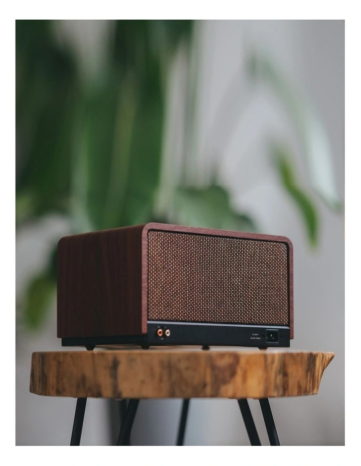 P100X Multi-Driver Wireless Desktop Speaker image 4