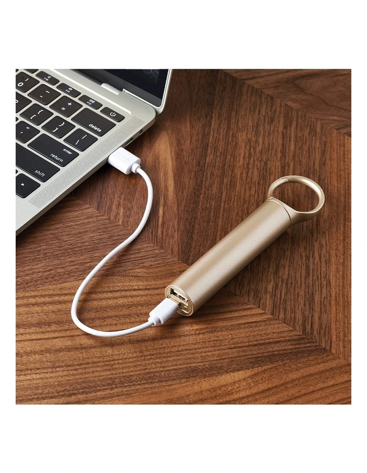 Nomaday 3000 Mah Power Bank With Clip in Gold image 5