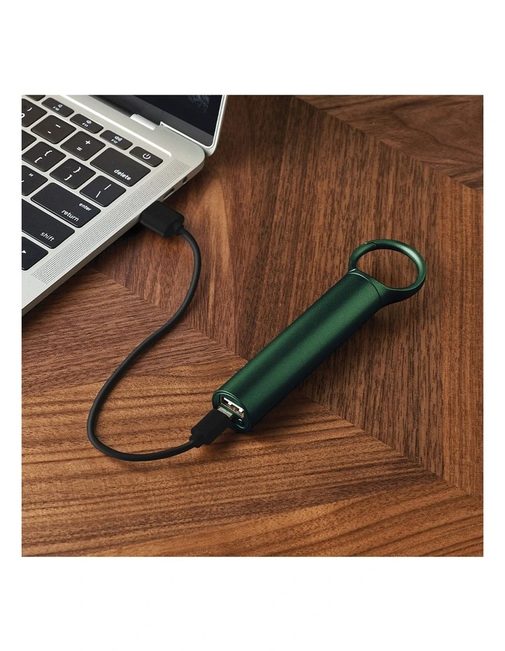 Nomaday 3000 Mah Power Bank With Clip in Green image 3