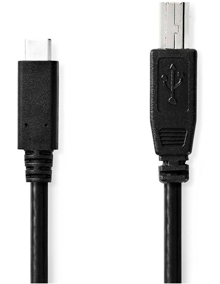 USB Cable USB-C? Male USB-B Male 2.00m image 2