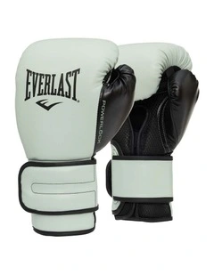 Powerlock2 Training Gloves 10oz in Mint/Black
