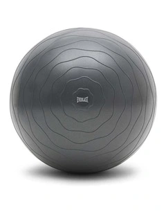 Gym Ball 65cm in Grey