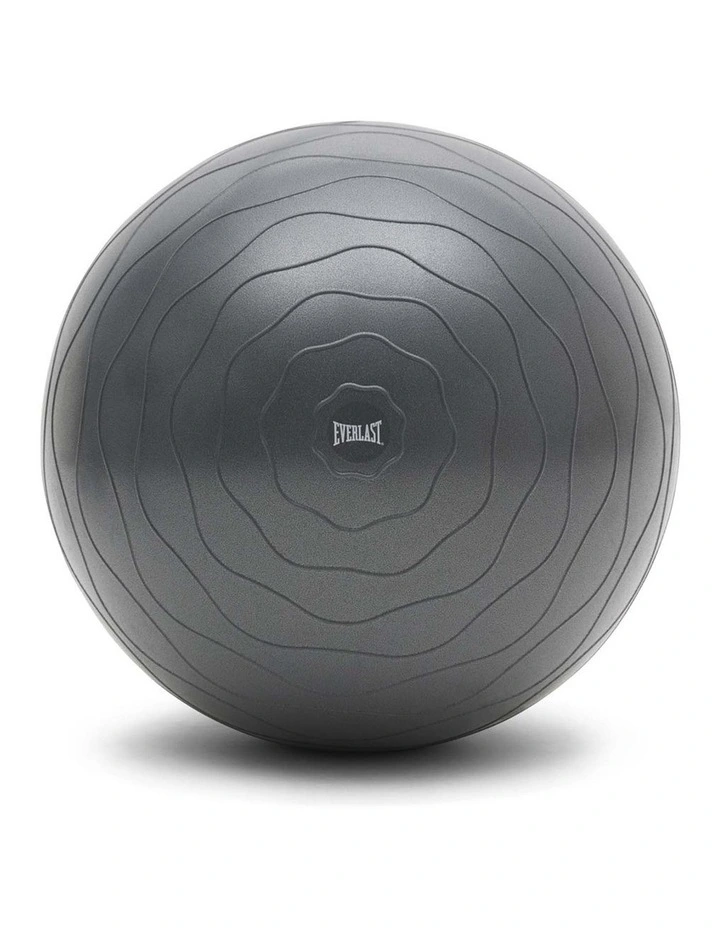 Gym Ball 65cm in Grey image 1