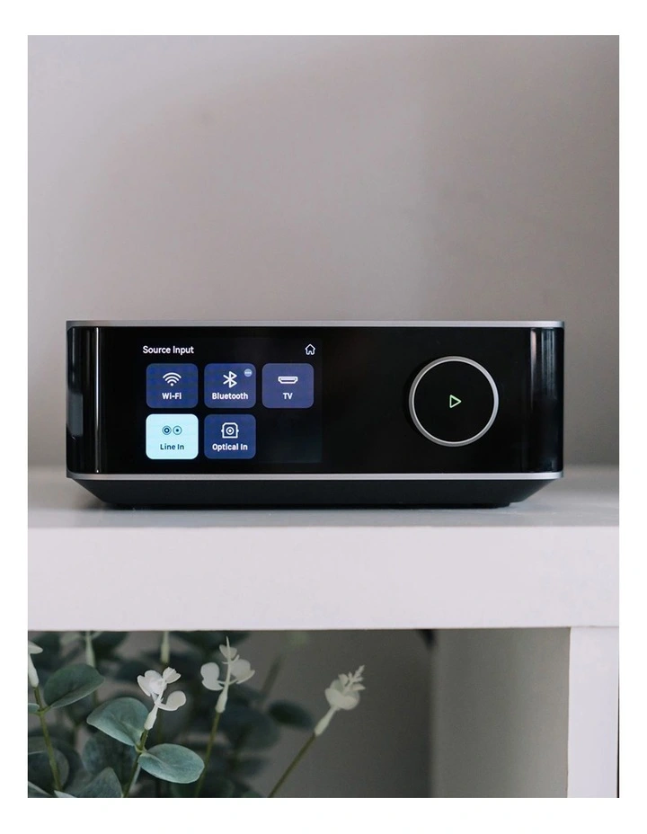 S809 Floor Standing Speakers with WiiM Amp Ultra image 6