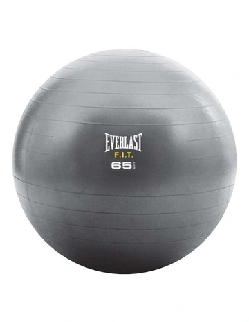 Core Strength Ball 65Cm Grey