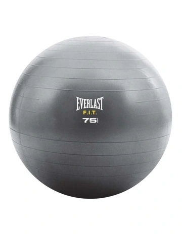 Core Strength Ball 75Cm Grey