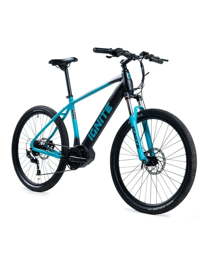 Puma Hardtail eBike in Blue image 1