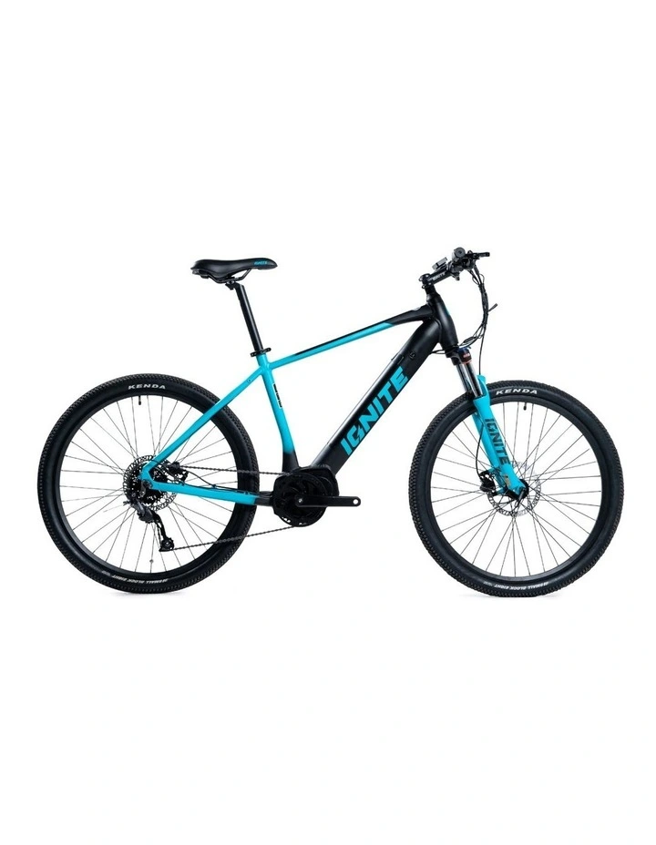 Puma Hardtail eBike in Blue image 2