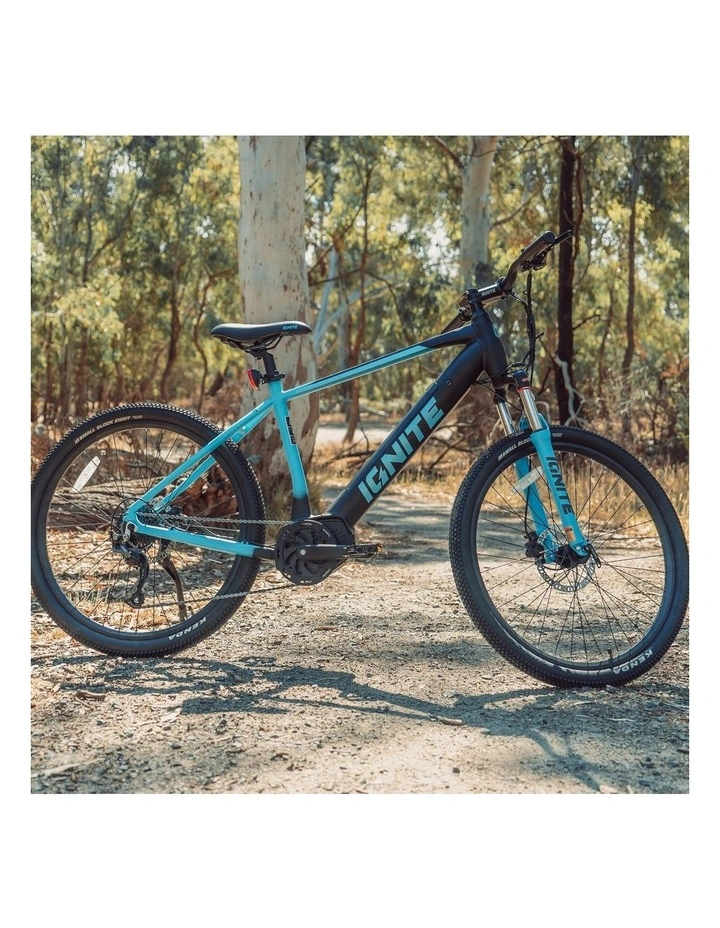 Puma Hardtail eBike in Blue image 3