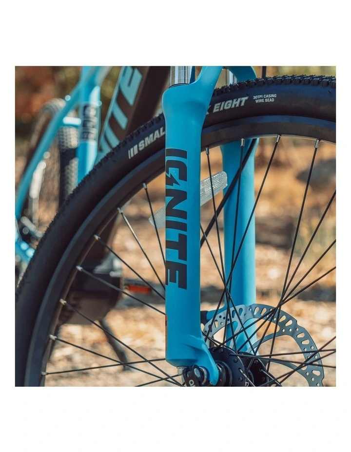 Puma Hardtail eBike in Blue image 4