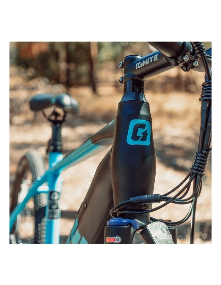 Puma Hardtail eBike in Blue image 7