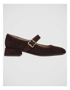 Betsey Flat Shoes in Cafe Noir Suede Leather