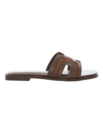 Chocolate Multi colour