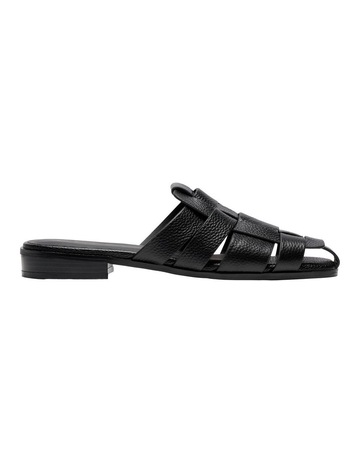 Black colour