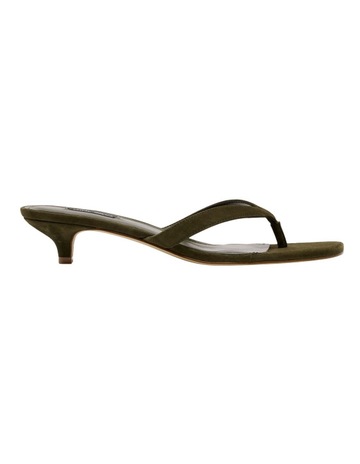 Olive colour