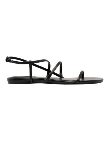 Black colour