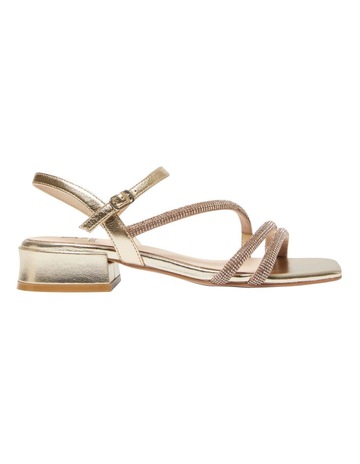 Gold Metallic colour