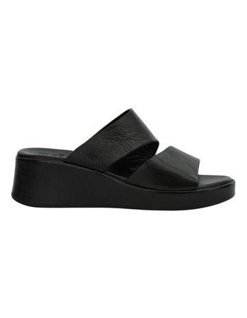 Black Glove colour