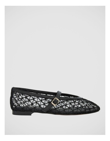 Black Mesh colour