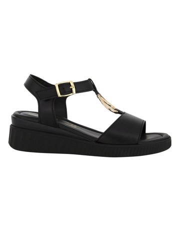Black / Black colour