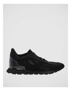 Jedy Black Knit Sneakers