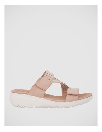Blush Multi colour