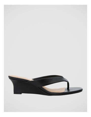 Black Smooth colour