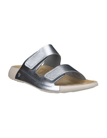 Silver colour