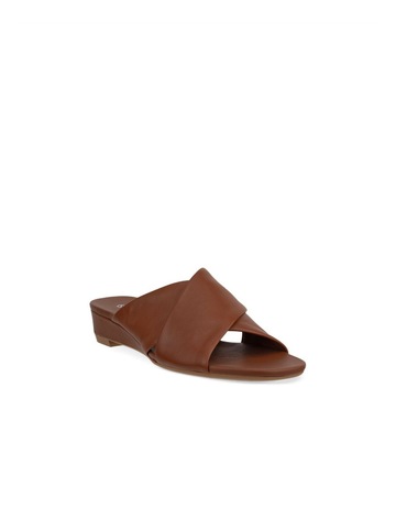 Tan colour