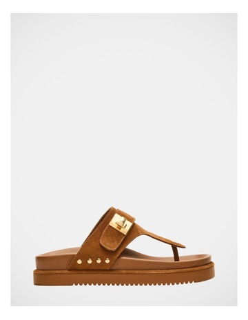 Chestnut M colour
