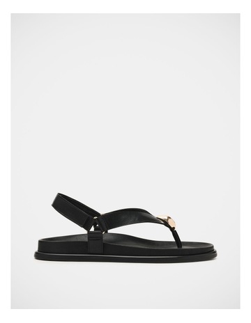 Black colour