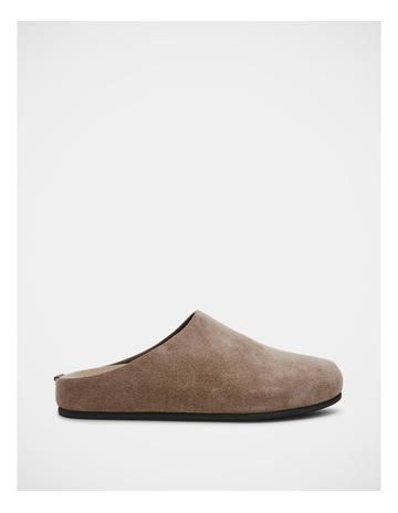 Taupe colour