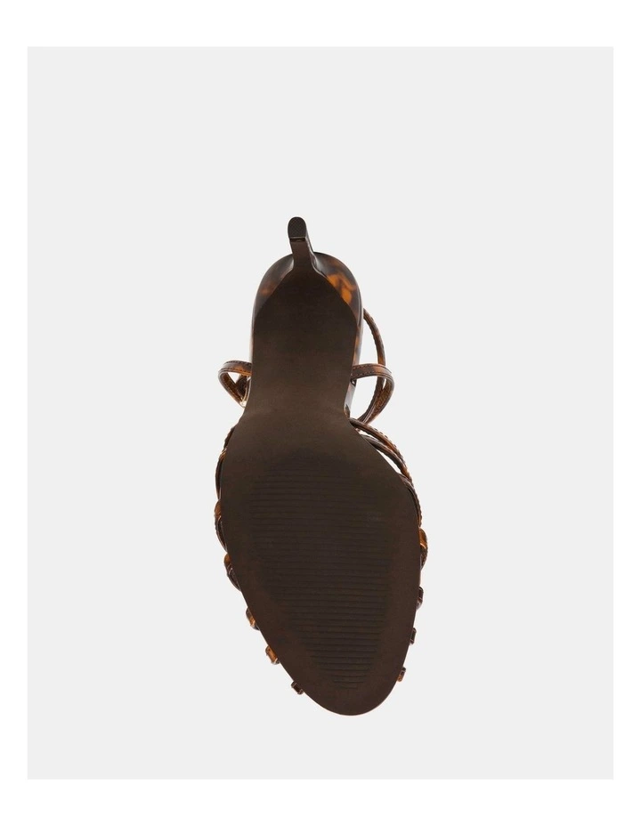 Mizuna Tortoise image 7