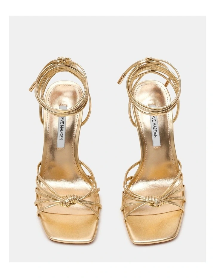 Solena Gold image 3