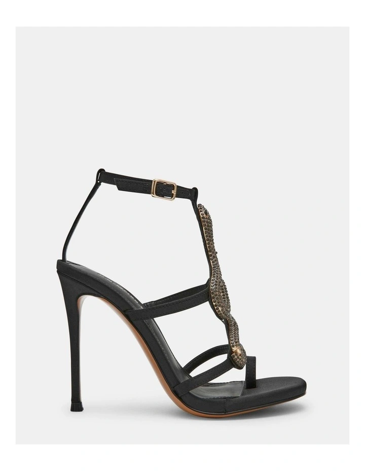 Python Black image 1