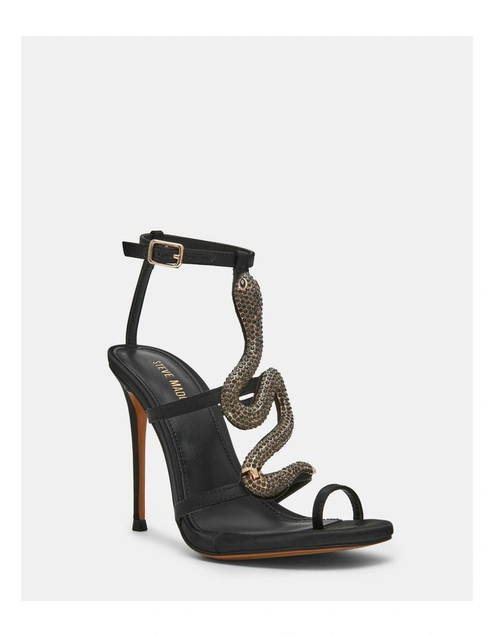 Python Black image 2