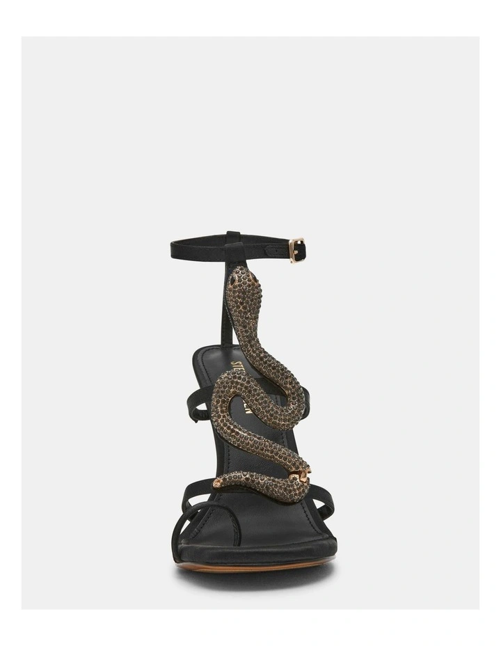 Python Black image 3