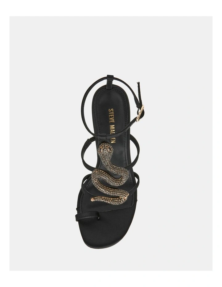 Python Black image 4