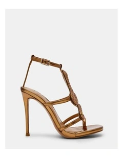 Python Bronze