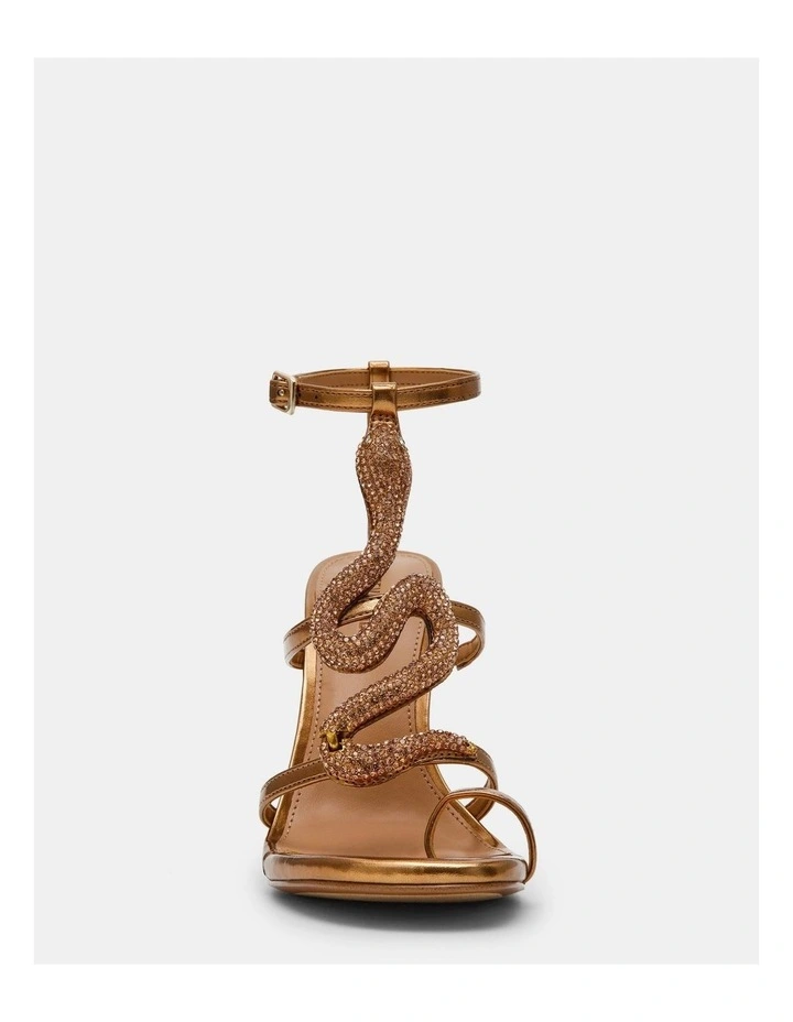 Python Bronze image 3