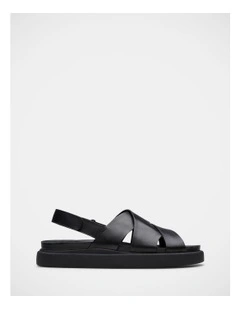 Aristella Sun Sandals in Black