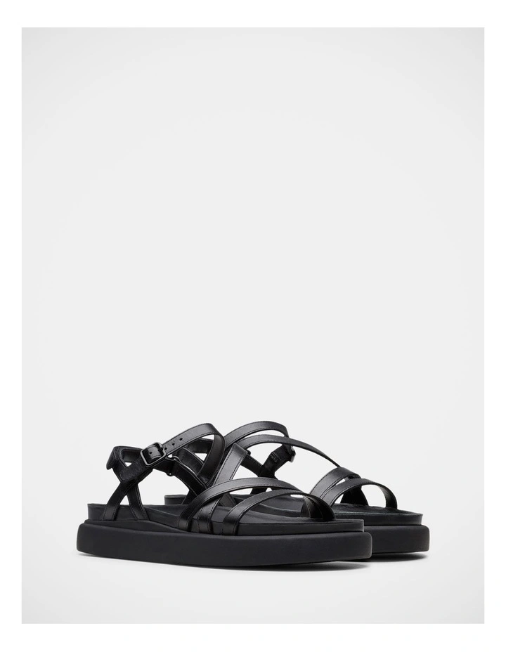 Aristella Rose Sandals in Black image 4